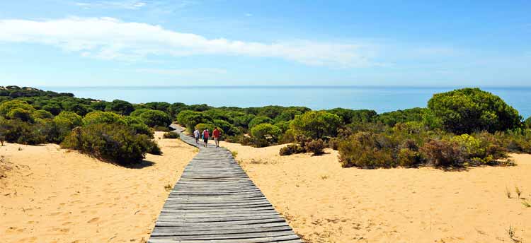 Doñana Nationalpark