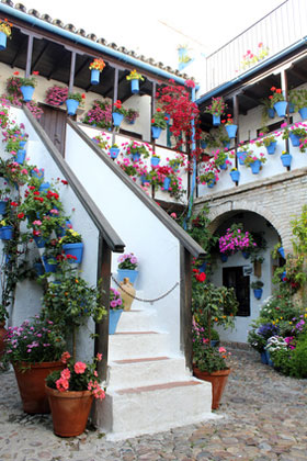 Innenhof beim Fest der Patios von Cordoba