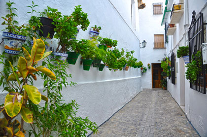 Weiße Häuser in Fuente del Rey
