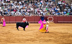 Corrida in der Real Maestranza in Sevilla