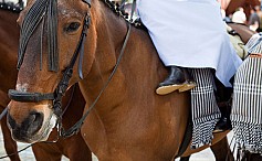 Pferdemesse Feria del Caballo in Jerez